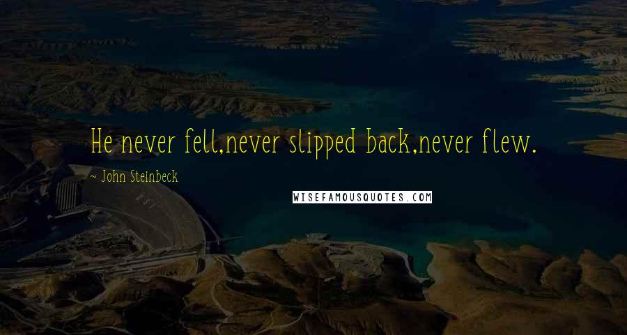 John Steinbeck Quotes: He never fell,never slipped back,never flew.