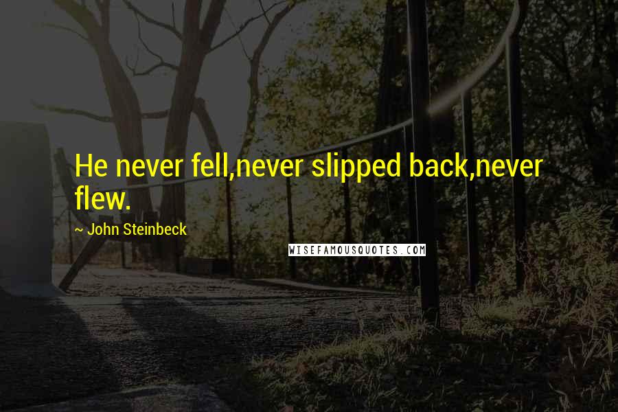 John Steinbeck Quotes: He never fell,never slipped back,never flew.