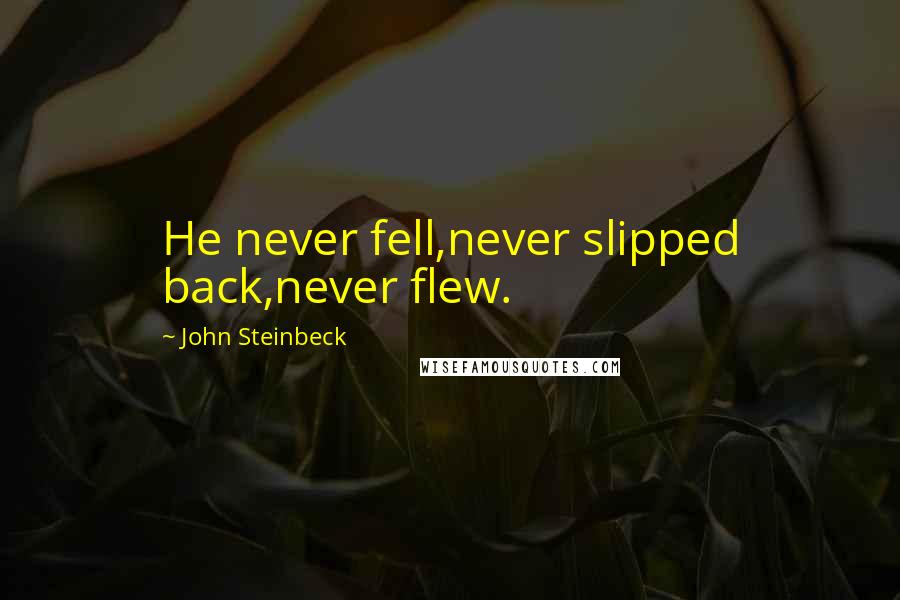 John Steinbeck Quotes: He never fell,never slipped back,never flew.