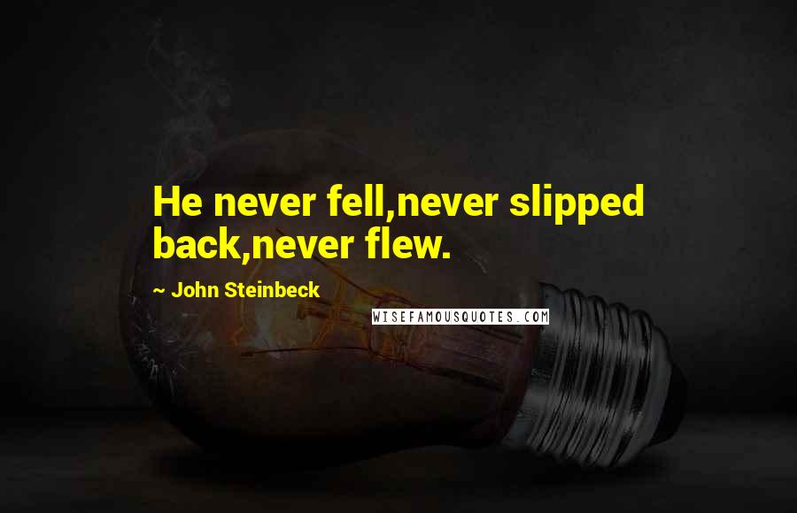John Steinbeck Quotes: He never fell,never slipped back,never flew.