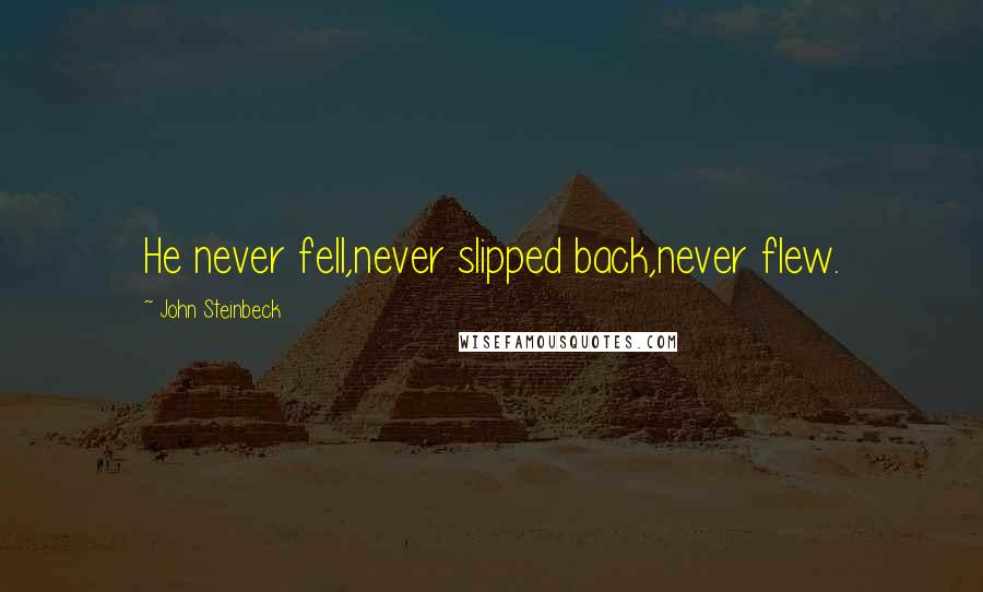 John Steinbeck Quotes: He never fell,never slipped back,never flew.