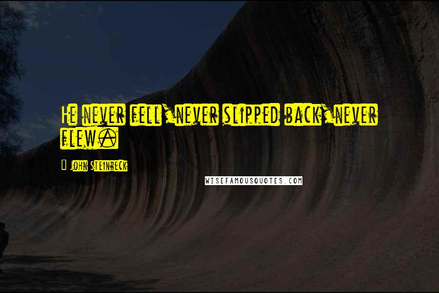 John Steinbeck Quotes: He never fell,never slipped back,never flew.