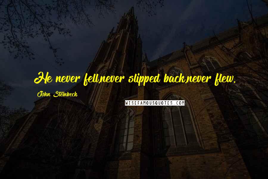 John Steinbeck Quotes: He never fell,never slipped back,never flew.