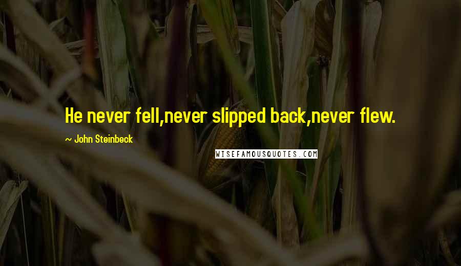 John Steinbeck Quotes: He never fell,never slipped back,never flew.