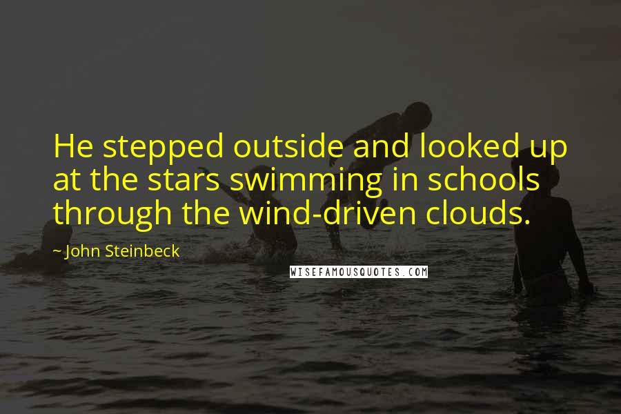 John Steinbeck Quotes: He stepped outside and looked up at the stars swimming in schools through the wind-driven clouds.