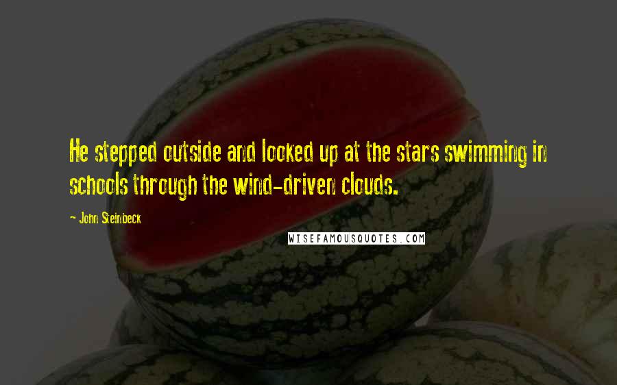 John Steinbeck Quotes: He stepped outside and looked up at the stars swimming in schools through the wind-driven clouds.