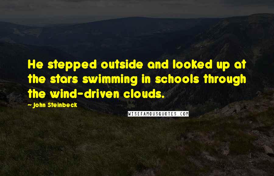 John Steinbeck Quotes: He stepped outside and looked up at the stars swimming in schools through the wind-driven clouds.