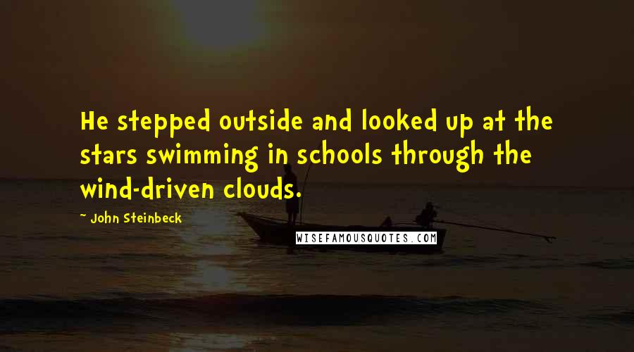 John Steinbeck Quotes: He stepped outside and looked up at the stars swimming in schools through the wind-driven clouds.