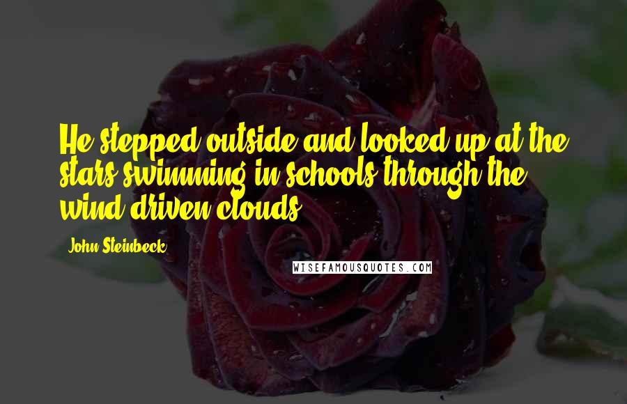 John Steinbeck Quotes: He stepped outside and looked up at the stars swimming in schools through the wind-driven clouds.