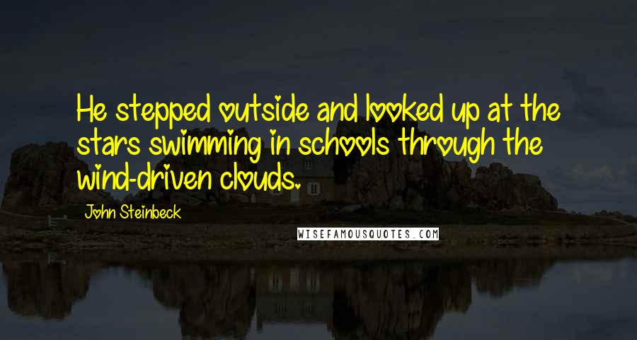 John Steinbeck Quotes: He stepped outside and looked up at the stars swimming in schools through the wind-driven clouds.