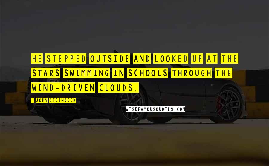 John Steinbeck Quotes: He stepped outside and looked up at the stars swimming in schools through the wind-driven clouds.