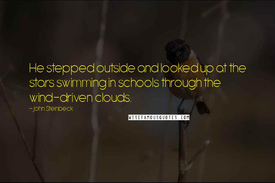 John Steinbeck Quotes: He stepped outside and looked up at the stars swimming in schools through the wind-driven clouds.