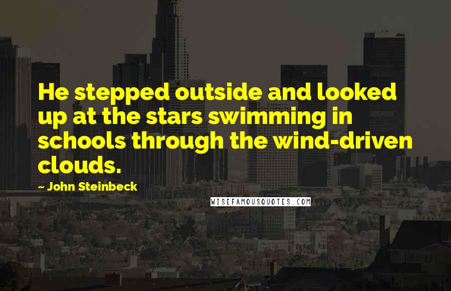 John Steinbeck Quotes: He stepped outside and looked up at the stars swimming in schools through the wind-driven clouds.