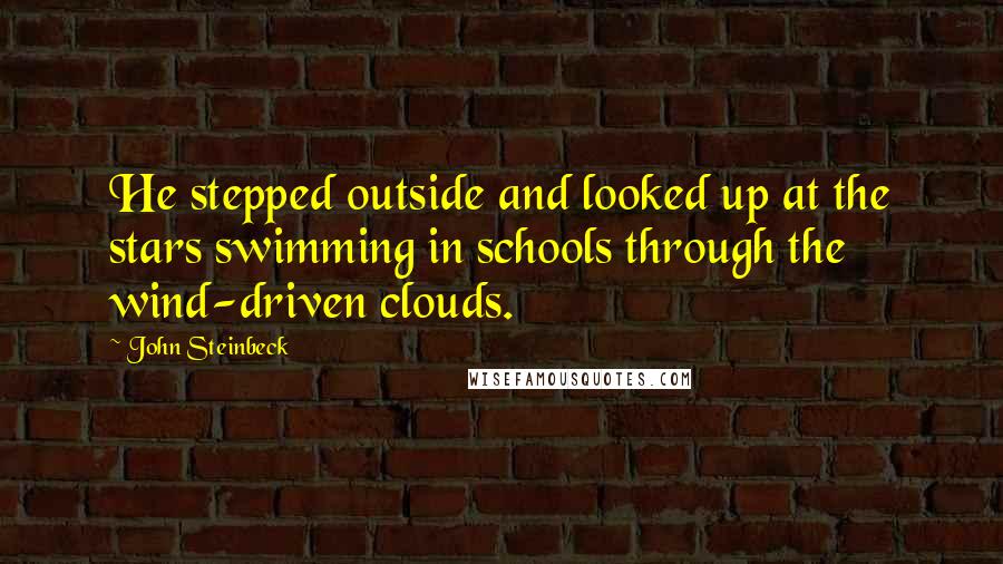 John Steinbeck Quotes: He stepped outside and looked up at the stars swimming in schools through the wind-driven clouds.