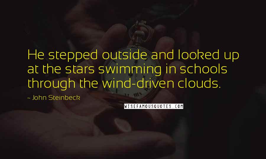 John Steinbeck Quotes: He stepped outside and looked up at the stars swimming in schools through the wind-driven clouds.