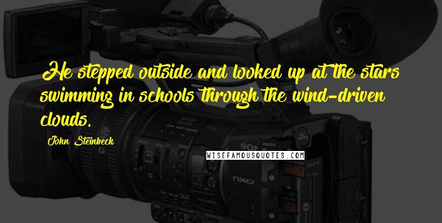 John Steinbeck Quotes: He stepped outside and looked up at the stars swimming in schools through the wind-driven clouds.