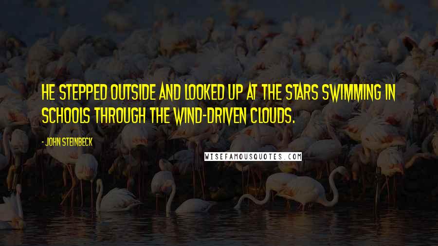 John Steinbeck Quotes: He stepped outside and looked up at the stars swimming in schools through the wind-driven clouds.