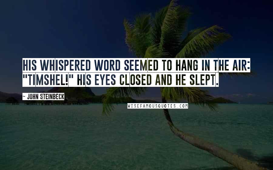 John Steinbeck Quotes: His whispered word seemed to hang in the air: "Timshel!" His eyes closed and he slept.