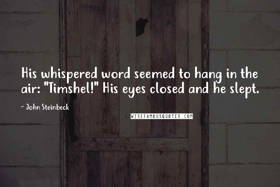 John Steinbeck Quotes: His whispered word seemed to hang in the air: "Timshel!" His eyes closed and he slept.