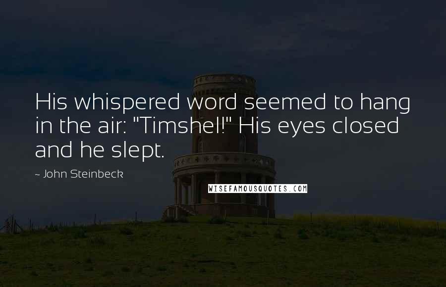 John Steinbeck Quotes: His whispered word seemed to hang in the air: "Timshel!" His eyes closed and he slept.