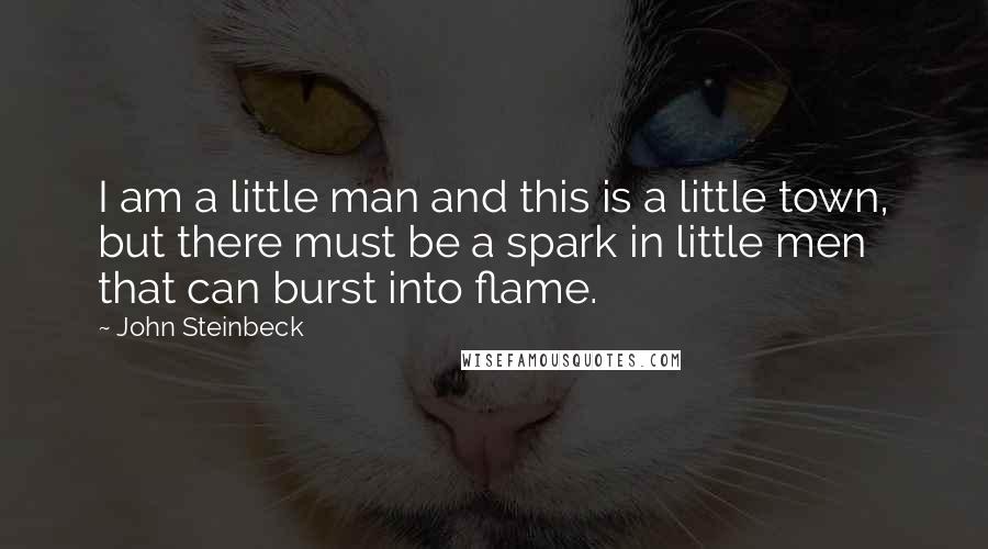 John Steinbeck Quotes: I am a little man and this is a little town, but there must be a spark in little men that can burst into flame.