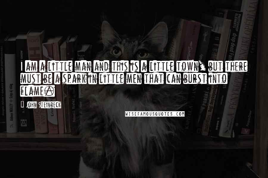 John Steinbeck Quotes: I am a little man and this is a little town, but there must be a spark in little men that can burst into flame.