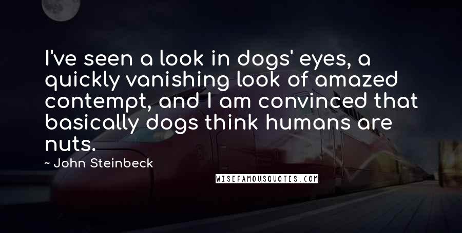 John Steinbeck Quotes: I've seen a look in dogs' eyes, a quickly vanishing look of amazed contempt, and I am convinced that basically dogs think humans are nuts.