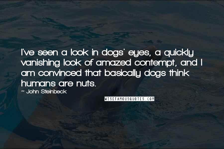 John Steinbeck Quotes: I've seen a look in dogs' eyes, a quickly vanishing look of amazed contempt, and I am convinced that basically dogs think humans are nuts.