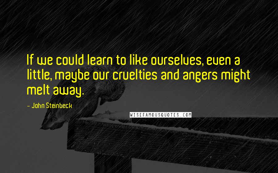 John Steinbeck Quotes: If we could learn to like ourselves, even a little, maybe our cruelties and angers might melt away.
