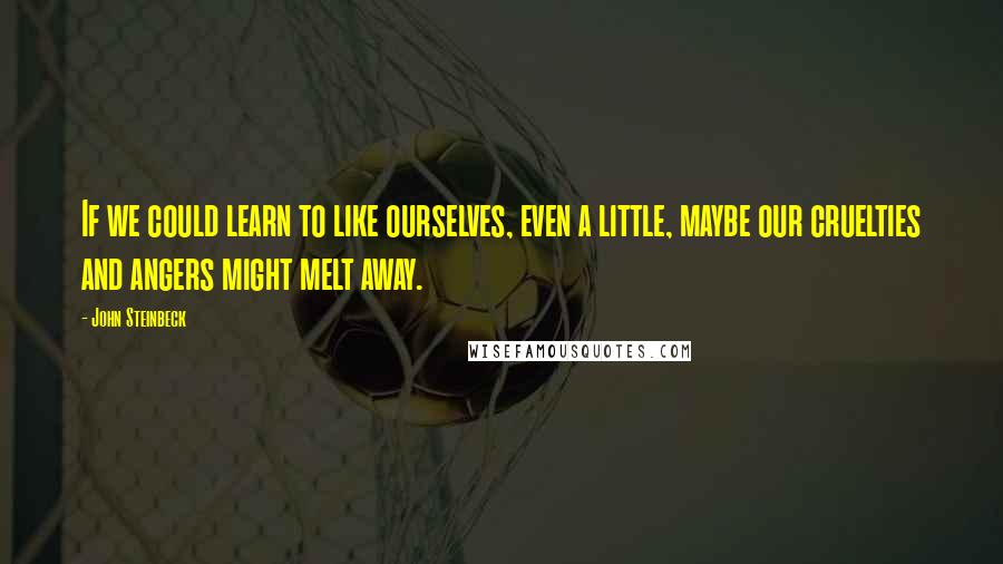 John Steinbeck Quotes: If we could learn to like ourselves, even a little, maybe our cruelties and angers might melt away.