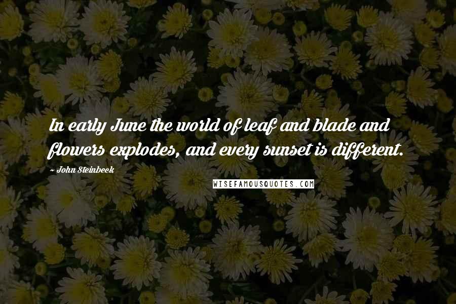 John Steinbeck Quotes: In early June the world of leaf and blade and flowers explodes, and every sunset is different.