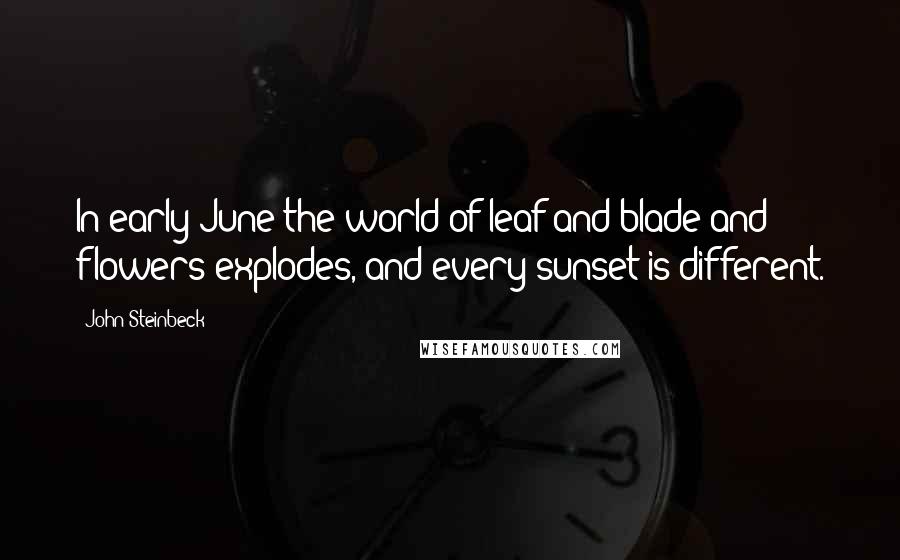 John Steinbeck Quotes: In early June the world of leaf and blade and flowers explodes, and every sunset is different.