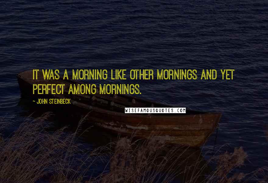 John Steinbeck Quotes: It was a morning like other mornings and yet perfect among mornings.