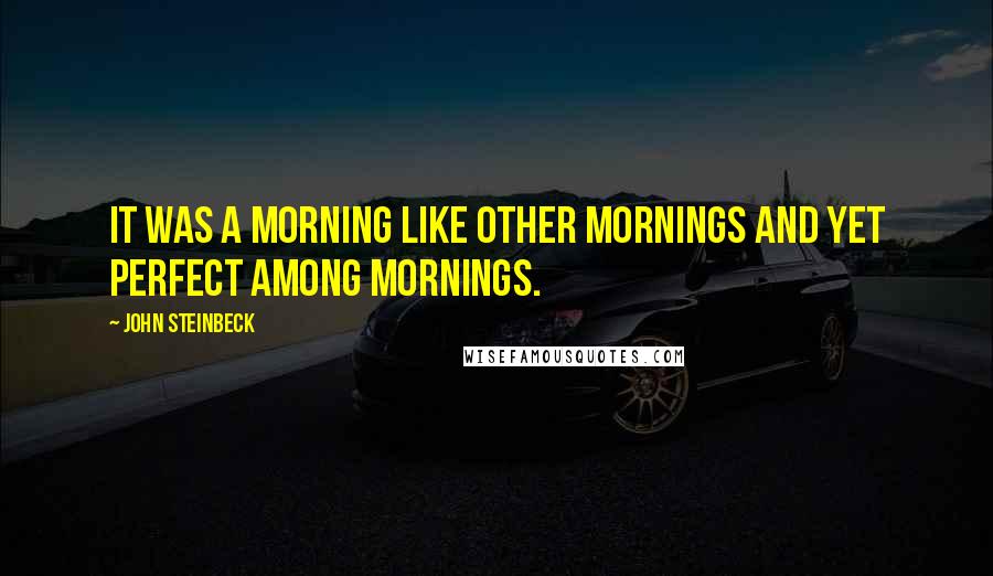 John Steinbeck Quotes: It was a morning like other mornings and yet perfect among mornings.