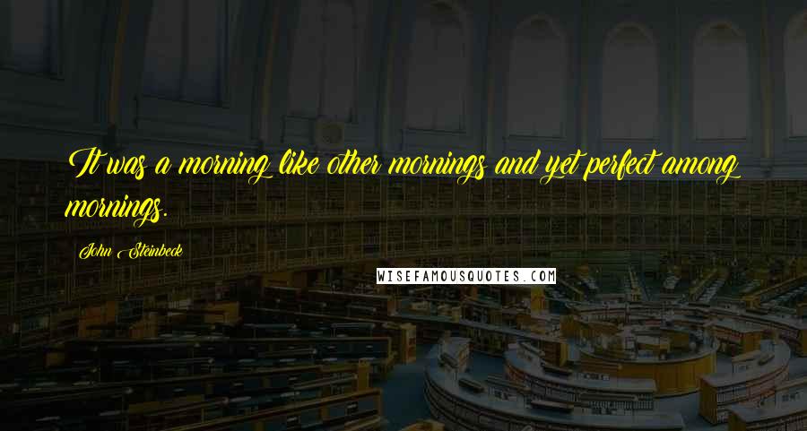 John Steinbeck Quotes: It was a morning like other mornings and yet perfect among mornings.