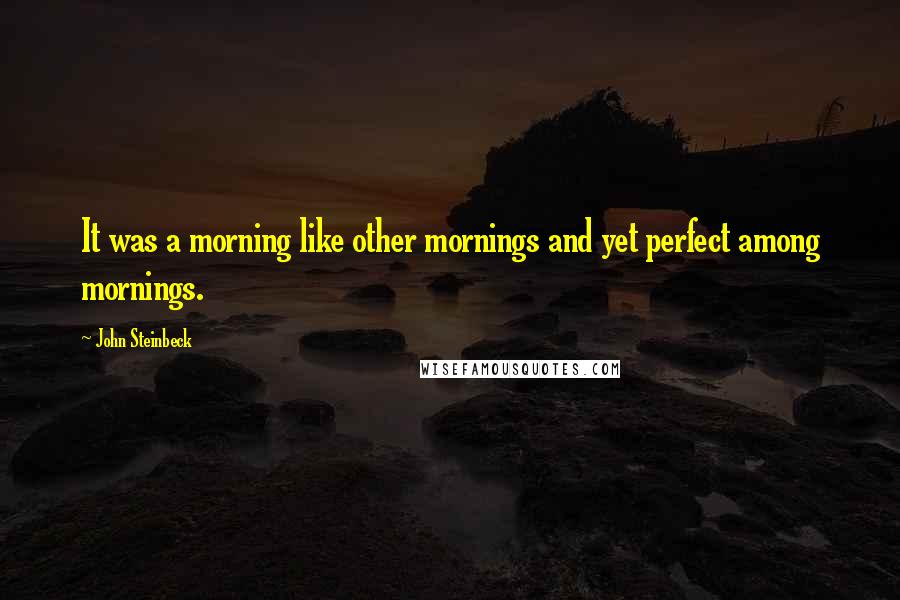 John Steinbeck Quotes: It was a morning like other mornings and yet perfect among mornings.