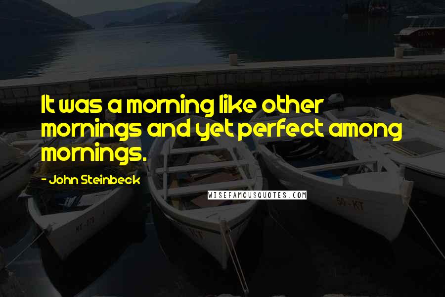 John Steinbeck Quotes: It was a morning like other mornings and yet perfect among mornings.