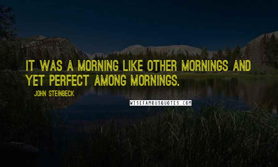 John Steinbeck Quotes: It was a morning like other mornings and yet perfect among mornings.
