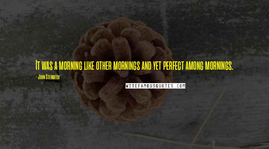 John Steinbeck Quotes: It was a morning like other mornings and yet perfect among mornings.