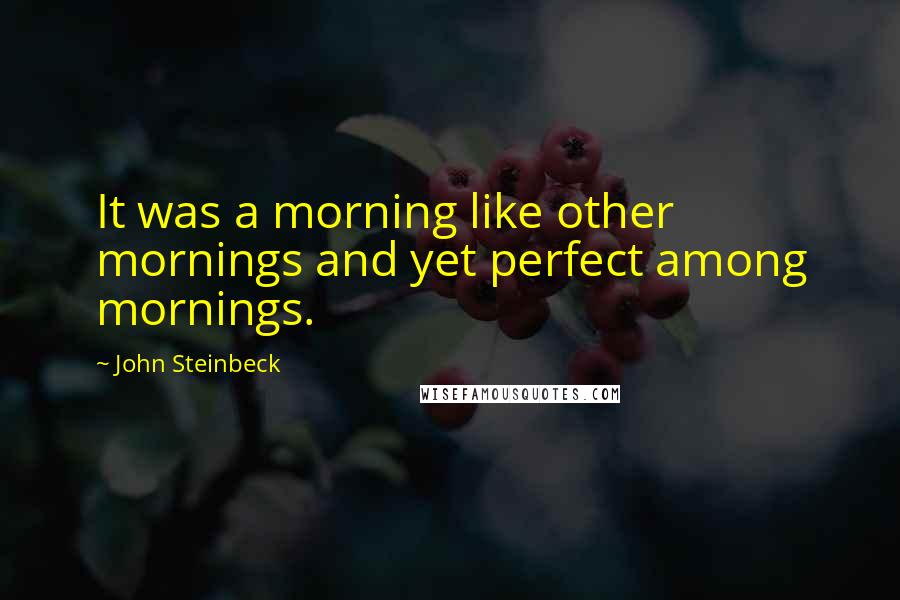 John Steinbeck Quotes: It was a morning like other mornings and yet perfect among mornings.