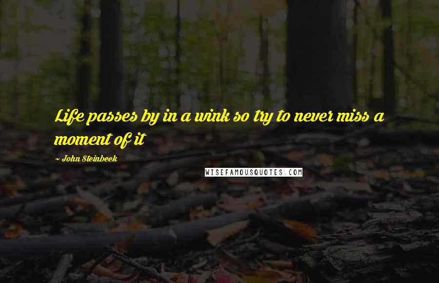 John Steinbeck Quotes: Life passes by in a wink so try to never miss a moment of it