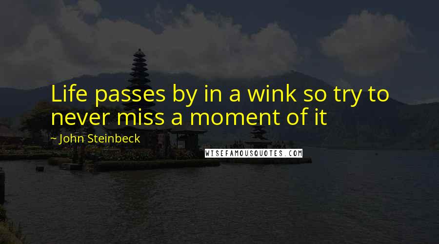 John Steinbeck Quotes: Life passes by in a wink so try to never miss a moment of it