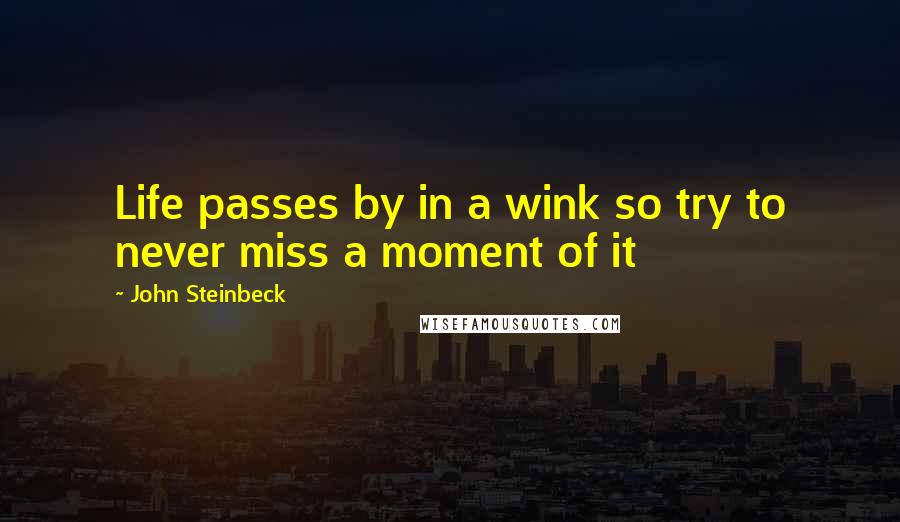 John Steinbeck Quotes: Life passes by in a wink so try to never miss a moment of it