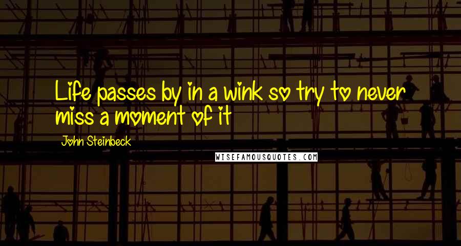 John Steinbeck Quotes: Life passes by in a wink so try to never miss a moment of it