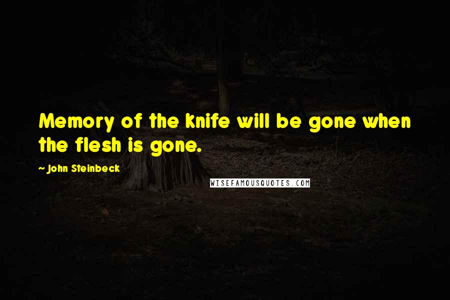 John Steinbeck Quotes: Memory of the knife will be gone when the flesh is gone.