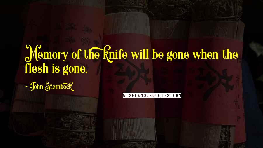 John Steinbeck Quotes: Memory of the knife will be gone when the flesh is gone.