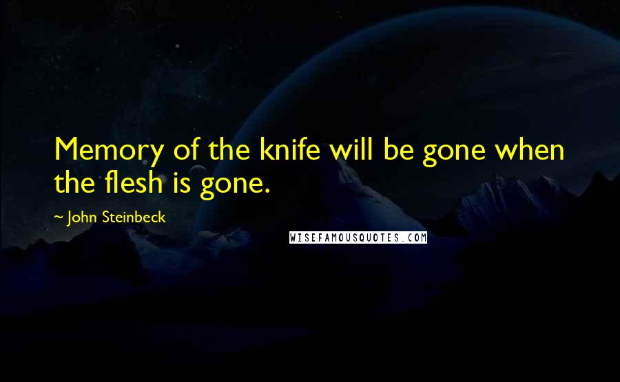 John Steinbeck Quotes: Memory of the knife will be gone when the flesh is gone.