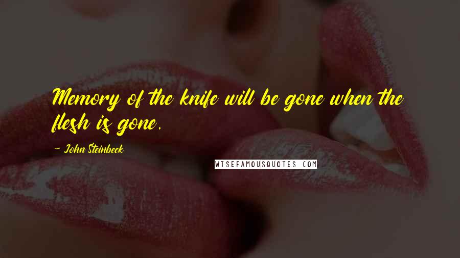 John Steinbeck Quotes: Memory of the knife will be gone when the flesh is gone.