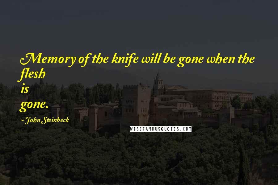 John Steinbeck Quotes: Memory of the knife will be gone when the flesh is gone.