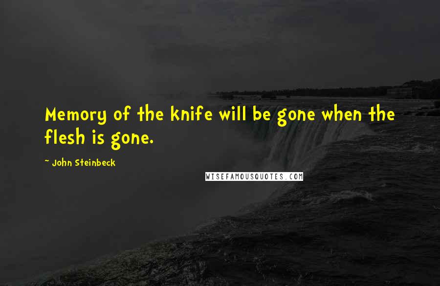 John Steinbeck Quotes: Memory of the knife will be gone when the flesh is gone.